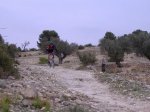 DSCF1224.jpg