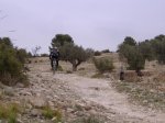 DSCF1226.jpg