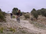 DSCF1229.jpg