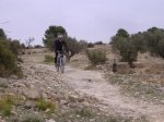 DSCF1231.jpg