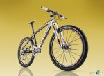 orbea_alma_im_gold_g_2009_orbea.jpg