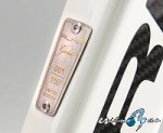 orbea_alma_im_gold_chapa_2009_orbea.jpg