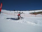 IMG_1013.jpg
