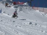 IMG_1028.jpg