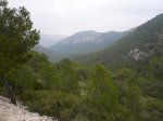 P1020501.jpg