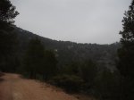 DSCF1438.JPG