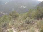 DSCF1442.JPG