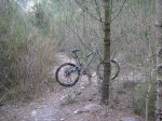 salida 21-03-09 012 [Resolucion de Escritorio].jpg