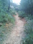 DSC00217.jpg