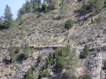 salida 21-03-09 053 [Resolucion de Escritorio].jpg