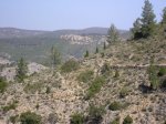 salida 21-03-09 054 [Resolucion de Escritorio].jpg