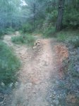 DSC00220.jpg