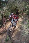 DSC_1463.JPG