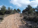 DSCF1593.JPG
