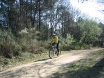 IMG_3490.jpg