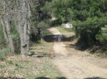 IMG_3492.jpg