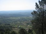 IMG_3494.jpg