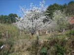 IMG_3498.jpg
