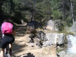 DSC00152.jpg