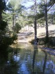 DSC00156.jpg