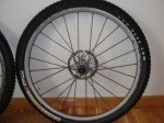 DSC01336.JPG