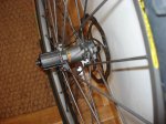 DSC01338.JPG