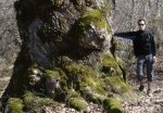 22- roble urbia 00009 - copia.JPG