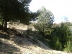 22 de marzo de 2009 048.jpg