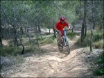 el laberinto del fauno 065.jpg
