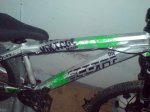 DSC00877.jpg