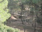 zona 22.jpg