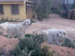 Imagen005.jpg