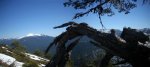 Panorama 5 (Medium).JPG