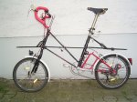 bici3.jpg