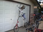 bici8.jpg
