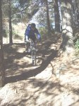 Collado investigacion 013.jpg