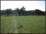 Naturaleza en estado puro.jpg