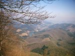 DSC_1353.jpg