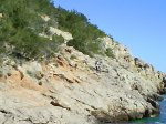 DSC01555.JPG