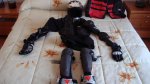 DSC00137.jpg