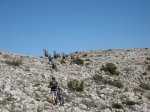 IMG_5565.JPG