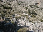 IMG_5575.JPG