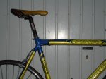 DSC09748.jpg