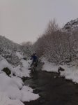 10012009882.jpg