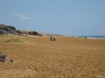 IMG_5645.JPG