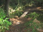 Imagen 016.jpg
