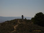 IMG_3009.JPG