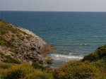 IMG_3071.JPG