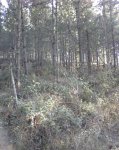Foto0292.jpg