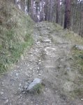 Foto0294.jpg